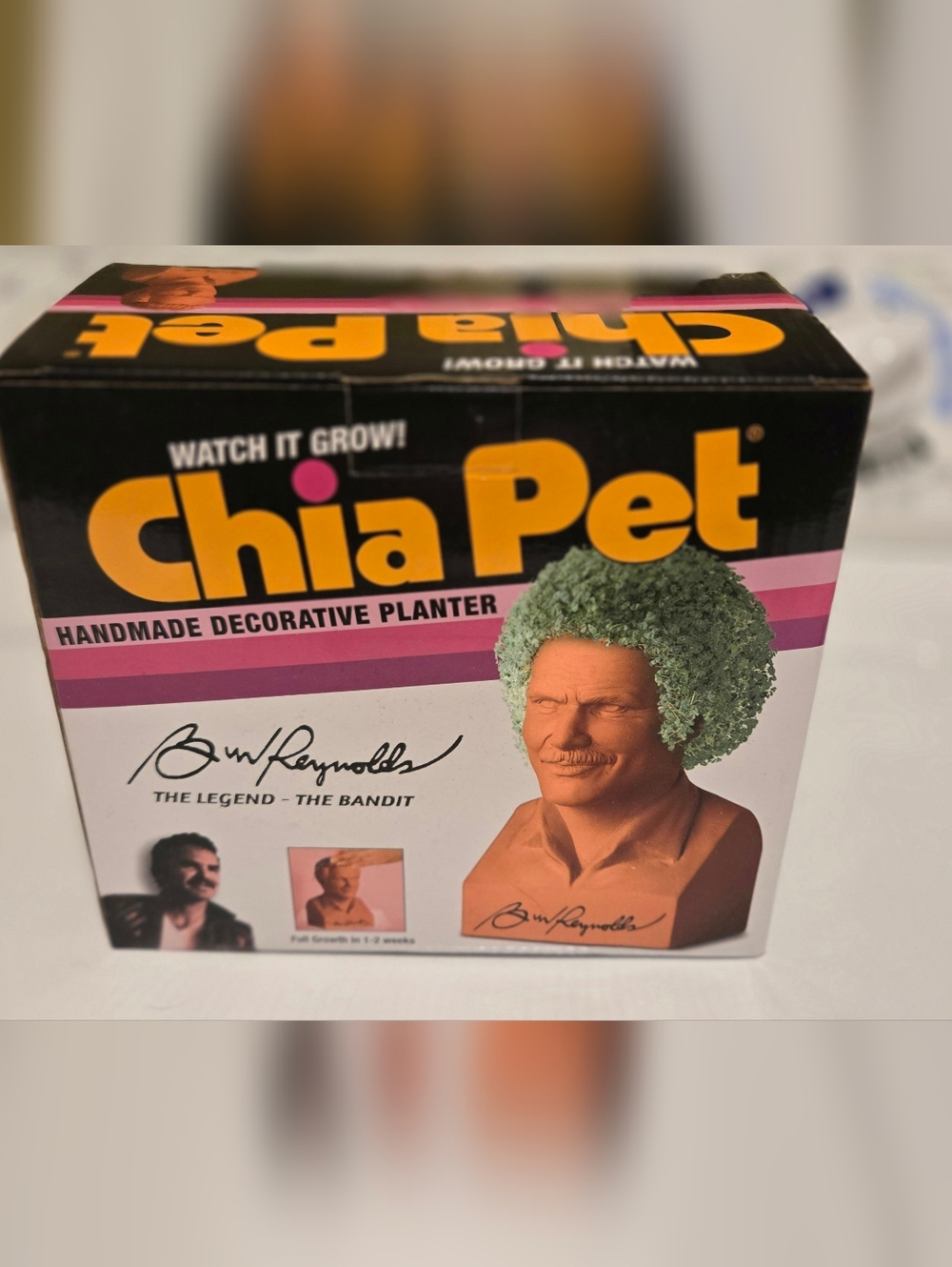 Burt Reynolds Chia Pet